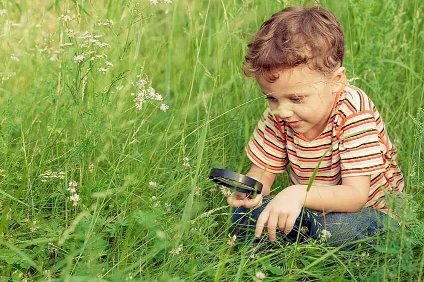 Best Outdoor Activities for Young Environmentalists: Exploring Nature and Making a Difference