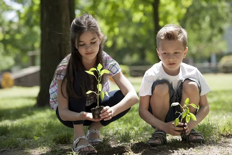 Best Outdoor Activities for Young Environmentalists